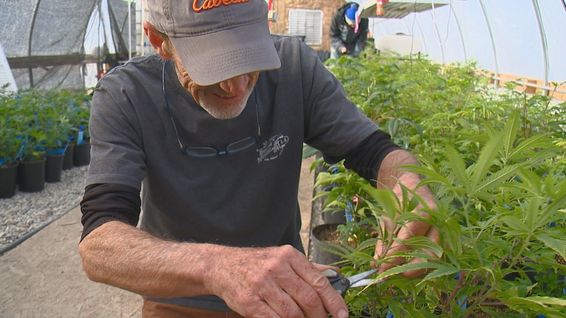 Afdbe0fc Cf9e 4267 B5cf Ee08bd49a105 1140x641