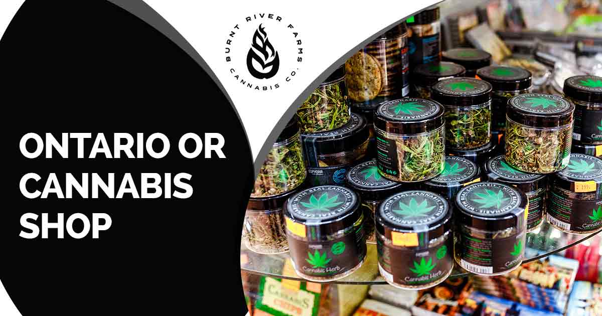 Image of cannabis and and other herbs in a jars as an item in the store. Finding a reliable and trusted cannabis shop can be a challenge. With so many options out there, it's hard to know which one will provide the highest quality products and exceptional customer service. Have you ever been disappointed with the quality of cannabis products you've purchased? Or maybe you've had a bad experience with unhelpful and uninformed staff at a cannabis shop? Introducing Burnt River Farms, Ontario OR's premier cannabis shop. We are dedicated to providing our customers with the highest quality cannabis products and an exceptional shopping experience. Our knowledgeable staff is passionate about cannabis and can help guide you towards the perfect product for your needs. At Burnt River Farms, we understand that every customer is unique, which is why we offer a wide selection of strains, edibles, concentrates, and accessories. Whether you're looking for relaxation, pain relief, or a creative boost, we have something for everyone. Experience the difference with Burnt River Farms. Visit our shop today and discover why we are the go-to destination for all your cannabis needs in Ontario OR.